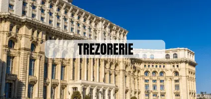 Plată prin trezorerie pentru anunțuri România Liberă, doar pentru instituții